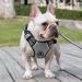 Heele No-Pull Dog Harness for Small Dogs | Adjustable Reflective & Breathable with Padded Handle | S-Breastfall 35-61cm - Gray - Buy Online on GoSupps.com