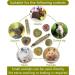 Natural Guinea Pig & Rabbit Chew Toys - Promotes Dental Health & Relieves Anxiety (10 pcs) - Buy Online on GoSupps.com
