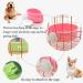 kathson Crate Dog Bowl 2pcs (Blue Green) - Removable Stainless Steel Hanging Pet Cage Bowl for Cat, Puppy, Birds, Rats, Guinea Pigs - Food & Water Feeder Coop Cup - Buy Online on GoSupps.com