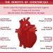 ZEBORA CoQ10 300mg Softgels with PQQ BioPerine & Omega-3 - High-Absorption Antioxidant Supplement for Heart Health and Energy Production - 120 Servings - Buy Online on GoSupps.com