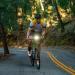 Light & Motion Vis 500 - 500 Lumens for Road & Trail Visibility | SafePulse for Daytime Safety | Lightweight & Reliable Design - Buy Online on GoSupps.com