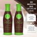 Portier CocoLiss Deep Conditioning Hair Mask - 2 Step Treatment for Dry, Damaged, Color-Treated, and Curly Hair - Anti-Frizz & Volume Control - 34fl.oz/1L - Buy Online on GoSupps.com