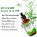 Rosemary Oil(120ml) Rosemary Essential Growth Oil for Hair Growth & Skin Care Improve Hair Loss and Nourishes Scalp Strengthens Hair Rid of Itchy and Dry Scalp for Men Women - Buy Online on GoSupps.com