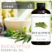 Brooklyn Botany Lemon Eucalyptus & Eucalyptus Essential Oils 4 Fl Oz (Pack of 2) 100% Pure & Natural Deeply Refreshing Aromatherapy Blend - Buy Online on GoSupps.com