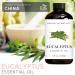 Brooklyn Botany Cinnamon & Eucalyptus Essential Oils 4 Fl Oz (Pack of 2) 100% Pure & Natural Stimulating & Clearing Aromatherapy Blend - Buy Online on GoSupps.com