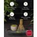  Quertee Matcha Gift Set - Organic Matcha Powder 100g from Japan with Broom (Chasen) and Bamboo Spoon (Chashaku) in Gift Box - Matcha Gift from Quertee - Buy Online on GoSupps.com