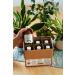 Organic Ginger Juice 6 Pack (6x250ml) | Cold-Pressed Pure Ginger | No Sugar Dyes or Preservatives | Vegan & Vegetarian - BerriesPolska  - Buy Online on GoSupps.com