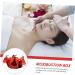 Buy Beavorty Kasten Moxibustion Box Set - Smokeless Moxa Stand Cover for Massage & Wellness | International Shipping Available - Buy Online on GoSupps.com