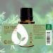 Rocky Mountain Oils Tea Tree Essential Oil - Aromatherapy Topical Nail Face Hair & Skin Care - 15ml | Shop Internationally - Buy Online on GoSupps.com