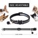 YUIONNAY Breakaway Cat Collars for Kittens - Bell Puppy Collars for Litter - Buy Online on GoSupps.com
