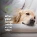 Vetality Canine Aspirin for Large Dogs - 120 Liver Flavor Chewable Tablets | Fast Pain Relief - Buy Online on GoSupps.com