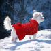 SKXEO Pet Dog Sweater Dress with Leash Hole for Small Medium Dogs with Bowtie Buffalo Check Red Black Turtleneck Cat Dog Pullover Knitwear Puppy Sweaters Medium Red - Buy Online on GoSupps.com