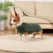 Shop Hjyokuso Dog Sweater - Warm & Lightweight Fleece Coat for Small to Large Dogs - Perfect Winter Outdoor Jacket in Green - Buy Online on GoSupps.com