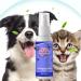 Dogs Fresh Breath Dental Spray - Natural Dog Dental Water Additive Dog Mouthwash for Teeth & Gums Dental and Oral Care Eliminating Plaque and Tartar  - Buy Online on GoSupps.com