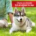 Sulfodene 3 Way Ointment - Fast-Acting Relief for Pets | Buy Online - Buy Online on GoSupps.com