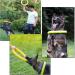 NA 2pcs Dog Toys Ring Outdoor Fitness Flying Discs Water Floating Dog Interactive Training Ring for Small Dog and Medium Dog - Buy Online on GoSupps.com
