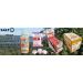 Buy SALTOLYTE 60 Chewing Tablets - PinaColada Flavor | Salt & Electrolyte Chewable Tablets with Sodium Magnesium Potassium Calcium - International Shipping Available - Buy Online on GoSupps.com