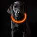 Coolzon LED light neck band dog collar waterproof 3 modes light strip collar length -adjustable super bright kals band cat and dog small large medium orange