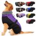 IECOii Extra Warm Dog Coat Reflective Adjustable Dog Jacket Dog Winter Coat with Buckle Fleece Turtleneck Dog Jacket for Cold Weather Soft Winter Coat for Small Medium Extra Large Dogs Large Purple