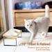 GUUSII HOME Raised Cat Food Bowl - 2 Ceramic Bowls on Bamboo Stand | Elevated, Anti Vomiting Design for Indoor Cats | Easy to Clean & Assemble | Wood Color - Buy Online on GoSupps.com