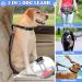 Vobuke Shock Absorption Jogging Leash for Small & Medium Dogs - Reflective Adjustable with Car Safety Carabiner - Up to 177lbs Capacity - Buy Online on GoSupps.com