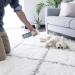 Pet-Friendly Carpet Shampoo: Removes Stains in 60 Seconds - Made in USA - Vet Approved - 16oz Spray - Buy Online on GoSupps.com