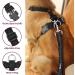Slowton XXS Dog Harness with Safety Belt for Car - Breathable Latex Fabric - Burgundy - Perfect for Everyday Sports - Buy Online on GoSupps.com