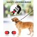 PETTOM Medium Half Choke Dog Collar - Chew Proof Metal Chain Collar for Medium/Large Dogs (M 17-20inch, Black) - Buy Online on GoSupps.com