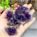 Natural Raw Amethyst Cluster Quartz Purple Crystal Cluster Stone Home Decoration Crafts Decoration Ornament Natural Decoration ERTEYIN (Color : Amethyst Cluster Size : 95-120g) 95-120g Amethyst Cluster - Buy Online on GoSupps.com