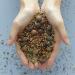 Blithe Vital Treatment 9 Essential Seeds 5 fl oz - Nourishing Skincare for Radiant Skin - Buy Online on GoSupps.com