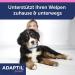 Adaptil Junior Collar - Calming Pheromone Band for Puppies | International Shipping - Buy Online on GoSupps.com