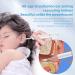 1296P HD Ear Wax Removal Tool and Ear Camera Kit for IOS and Android - Ear Cleaning Kit with Light for Easy Ear Cleaning - Buy Online on GoSupps.com