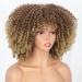Nnzes Afro Short Curly Wig - Brown to Blonde Kinky Curly Fluffy Wig for Black Women 12inch - Synthetic Hair Full Wigs for Daily Wear - Buy Online on GoSupps.com