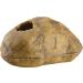 Exo Terra Snake Cave Medium - Naturalistic Hideout for Snakes - Buy Online on GoSupps.com