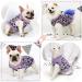 Shop Stylish Dog & Cat Sweaters - Perfect for Chihuahuas Bulldogs & Puppies - Kide of All Sizes | International Shipping Available - Buy Online on GoSupps.com