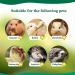 BWOGUE 100g Sweet Bamboo Chew Toy for Small Pets - Squirrel, Rabbits, Guinea Pigs, Chinchilla, Hamster - Buy Online on GoSupps.com