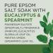Dr Teal s Salt Soak with Pure Epsom Salt Relax & Relief with Eucalyptus & Spearmint 3 lbs (Packaging May Vary) - Buy Online on GoSupps.com
