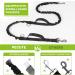 Premium Jogging Leash for Dogs - Elastic Buffer & Reflective Design for Hands-Free Running | Ideal for Medium & Large Breeds | Up to 110kg Capacity - Buy Online on GoSupps.com