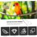 BELLIFFY 1 Set Parrot Anklet Birds Anklet Bird Harness Parrot Harness Leash Stainless Steel Bird Chain Split 24X4X0.1cm Silver - Buy Online on GoSupps.com