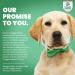 Doggie Dailies Glucosamine for Dogs - Advanced Hip & Joint Supplement with Chondroitin, MSM, Hyaluronic Acid & CoQ10 - 225 Chicken Flavored Chews - Buy Online on GoSupps.com