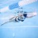 Kraken Aquatics Swim Snorkel - Adult Center Mount for Lap Swimming | Comfortable Silicone Mouthpiece | One-Way Purge Valve | Blue - Buy Online on GoSupps.com