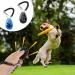 ISOI Clickers for Dog Training 2 Pcs Dog Clickers for Training Clicker Training for Cats Puppy Training Strengthen Positive Behavior Comfortable Grip Bracelet Design Portable (Black & Blue) - Buy Online on GoSupps.com