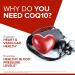 Qunol CoQ10 200mg Softgels - Ultra High Absorption Antioxidant for Heart Health & Energy - 60 Count Supply - Buy Online on GoSupps.com