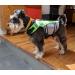 Vivaglory Dog Life Jacket - Adjustable & Durable Sports Style with Excellent Buoyancy for Small Dogs (Chest 48-58 cm) - Neon Green - Buy Online on GoSupps.com