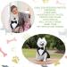 Dog Tuxedo and Bandana Set - Formal Wedding Party Suit with Bow Tie Shirt (Cute Style XXL) - Buy Online on GoSupps.com