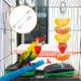 iTGOOS 2Pcs Parrot Skewer Feeder Stainless Steel Parrot Fruit Stick Holder Bird Food Holder Birds Foraging Toy for Parrots Cockatoo Cockatiel Cage - Buy Online on GoSupps.com