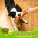 Macco Dog Puzzle Toy - Turtle Squeak & Snuffle Master Foraging Toy for Small, Medium, and Large Dogs - Buy Online on GoSupps.com