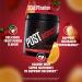 Sculpt Nation by V Shred Post Workout - Creatine Complex for Muscle Recovery & Energy Boost - Fruit Punch Flavor - 30 Servings - Buy Online on GoSupps.com