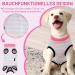 PatinaDrift Dogebody Wound Protection Suit for Dogs - Cone Alternative After Surgery (Pink/Blue Medium) - Buy Online on GoSupps.com