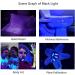 LED UV Flashlight - 395nm Black Light Pet Urine & Stain Detector for Clothes Carpets & Rugs - 1 Pack - Buy Online on GoSupps.com